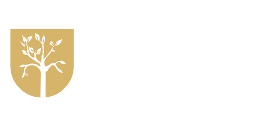 Dekorasyon Kapı Mobilya